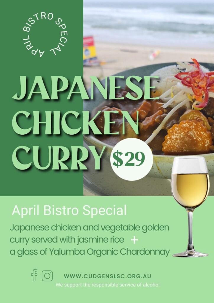 april japanese chicken curry